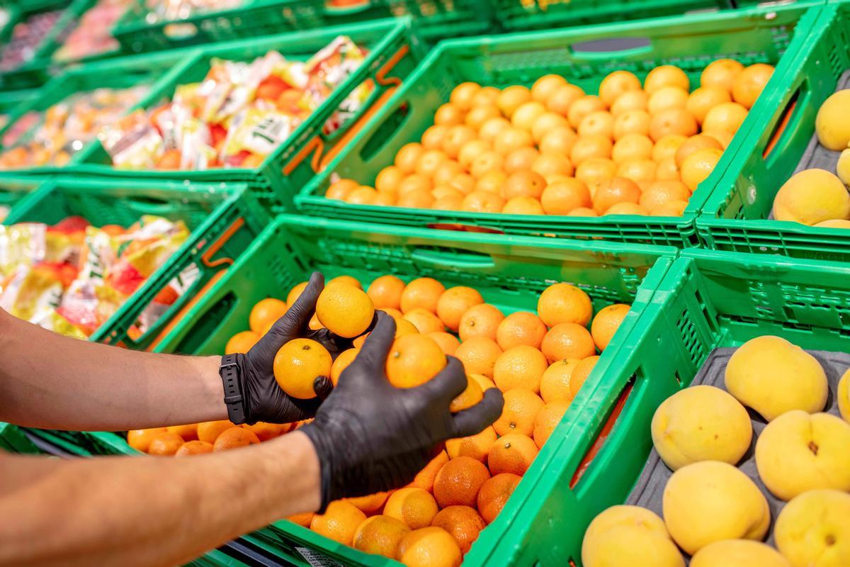 Nota De Premsa Mercadona Inicia La Campanya De Cítrics D'origen Local Amb La Mandarina Oronules