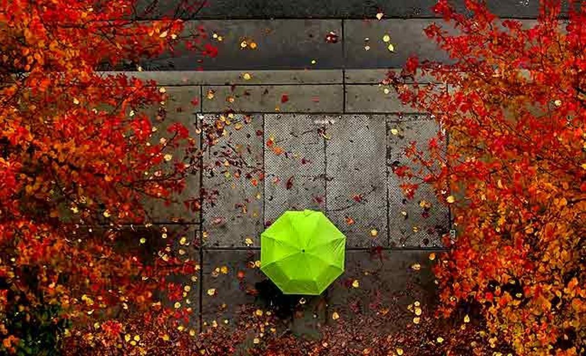 Els colors de la tardor es barregen amb la pluja al llarg del carrer Primer a Santa Rosa, Califòrnia (Estats Units).