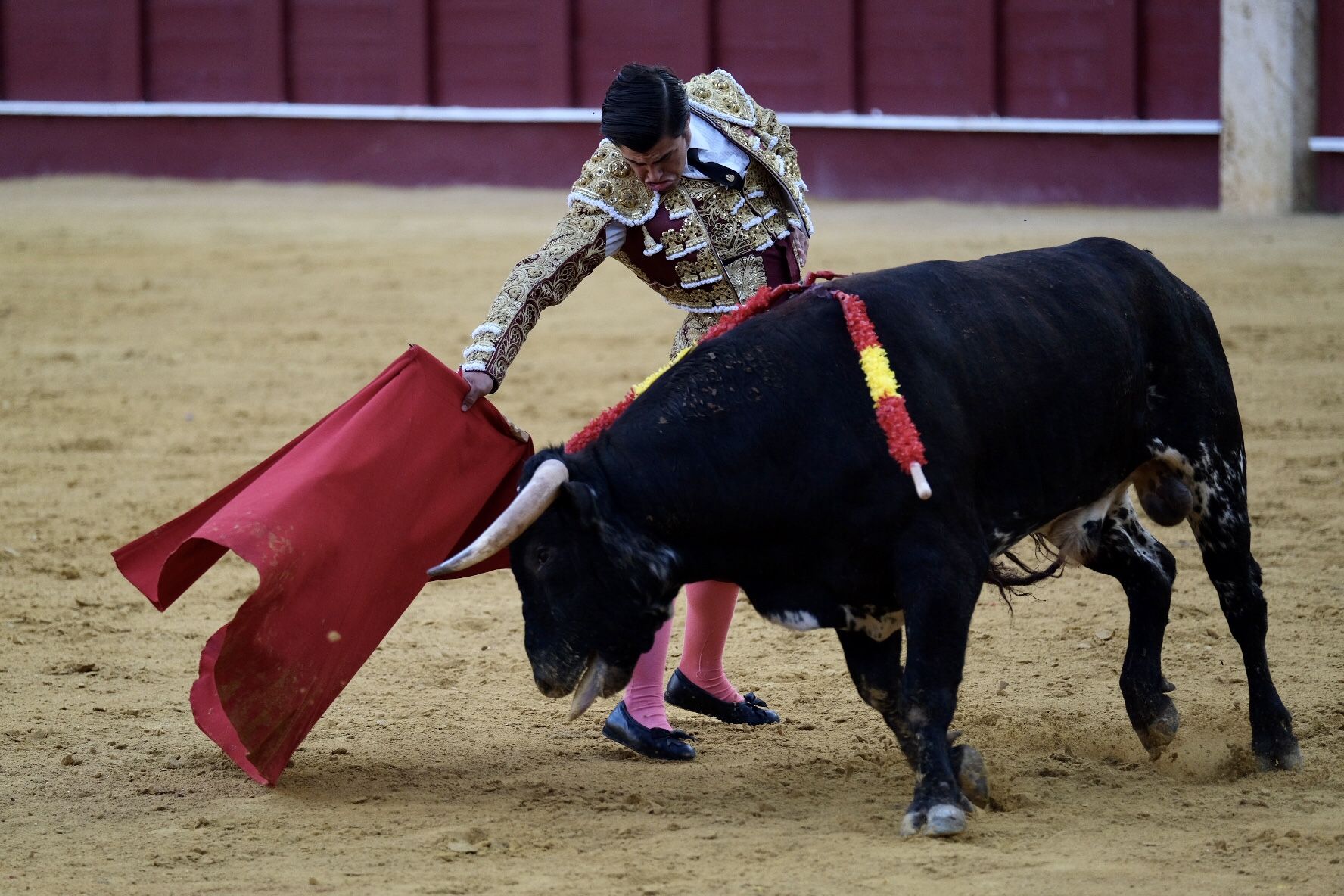 XV edición del Certamen Internacional de Escuelas Taurinas