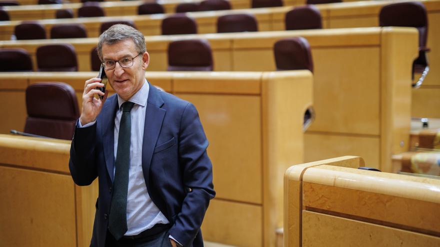 El presidente del Partido Popular, Alberto Núñez Feijóo, en el Senado.