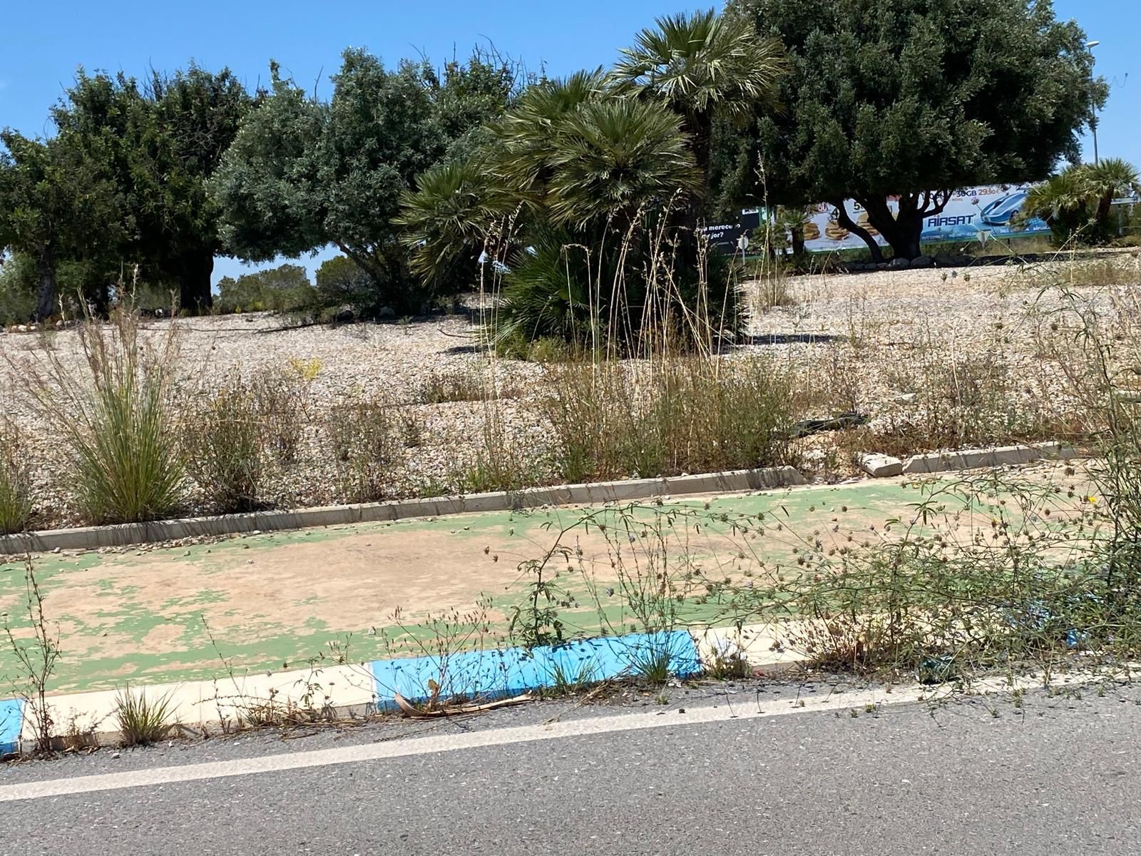 Una jungla sobre el asfalto de Orihuela Costa