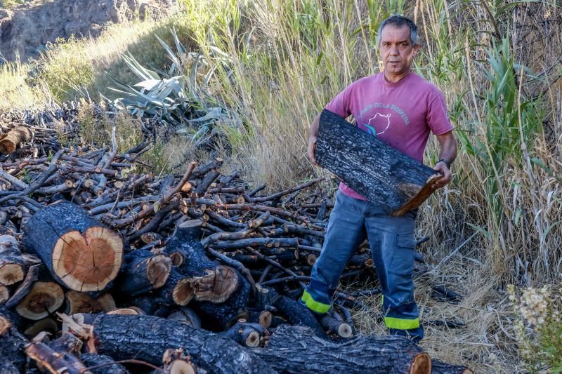 Tejeda. Carmelo Jiménez, Carbonero.  | 11/10/2019 | Fotógrafo: José Carlos Guerra