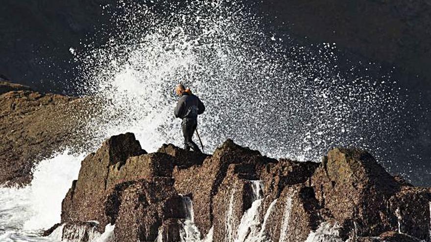 Satisfacción ante el primer percebe en Peñas: “Hay, aunque algo pequeño”