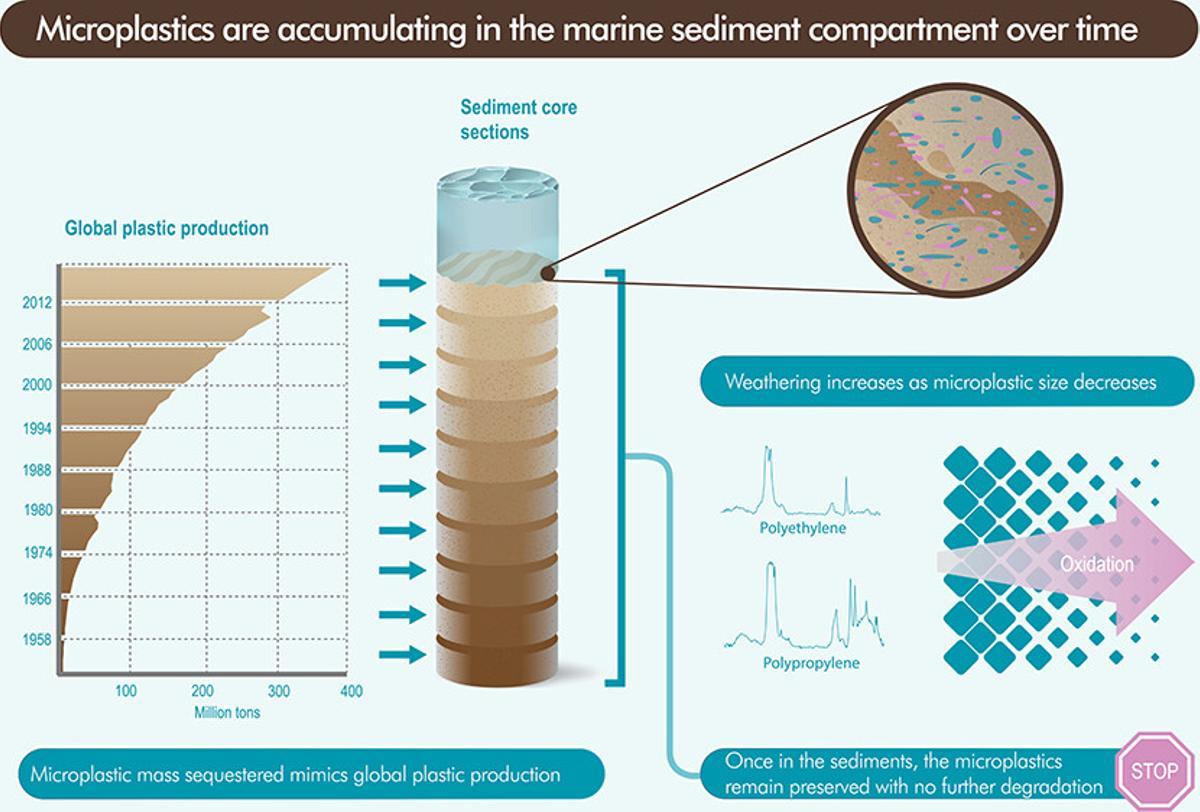 Los microplásticos quedan sepultados en los sedimentos marinos