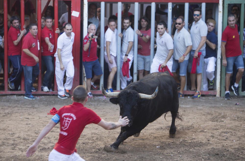 Festes del Roser en Almassora