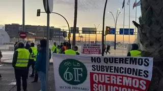 Cortes de tráfico en el Centro y accesos a Málaga por la protesta de agricultores