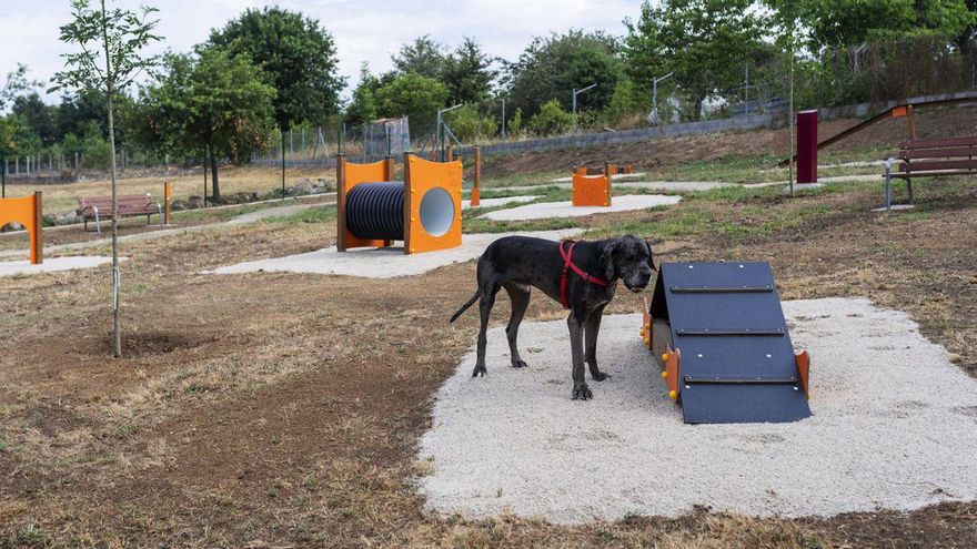 Cachamuíña estrena un parque canino pionero con circuitos de destreza