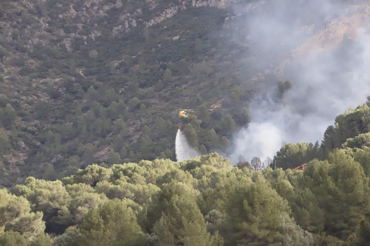 Un incendio forestal en Alzira amenza la Murta y dos centenares de viviendas