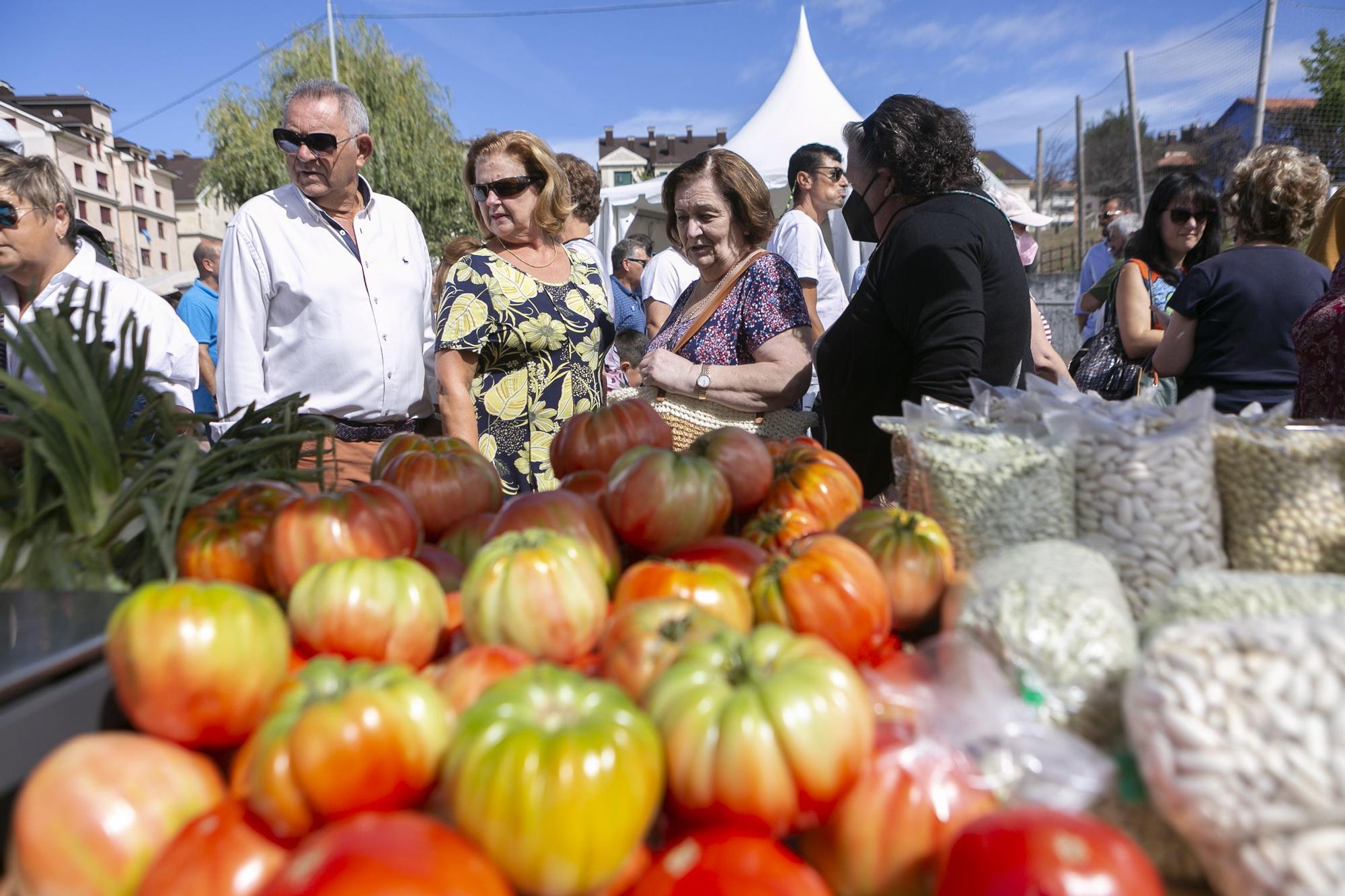 Concurso de escanciado, mercadillo y mucha fiesta: así se vivie el día de Asturias en Corvera