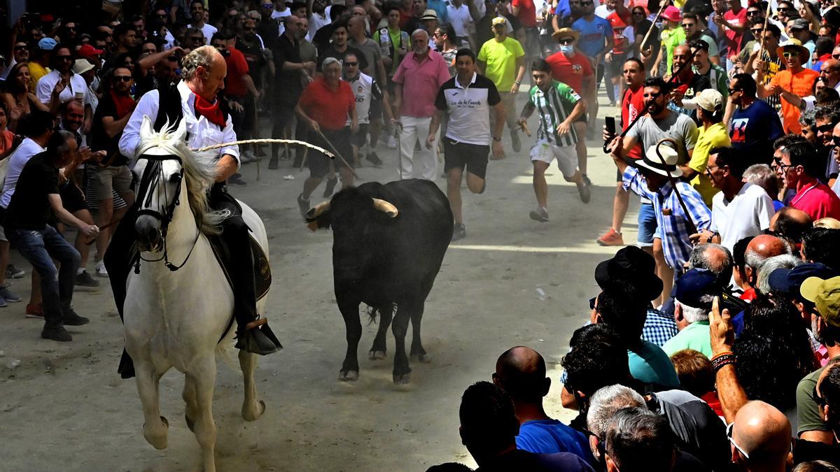Fernando Zarzoso guía y conduce al toro rezagado en la Entrada de este viernes.