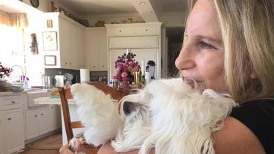 Barbra Streisand tiene dos perros clonados