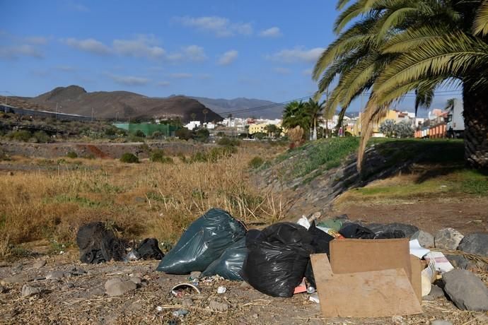 PLAGA DE PULGAS EN CARRIZAL