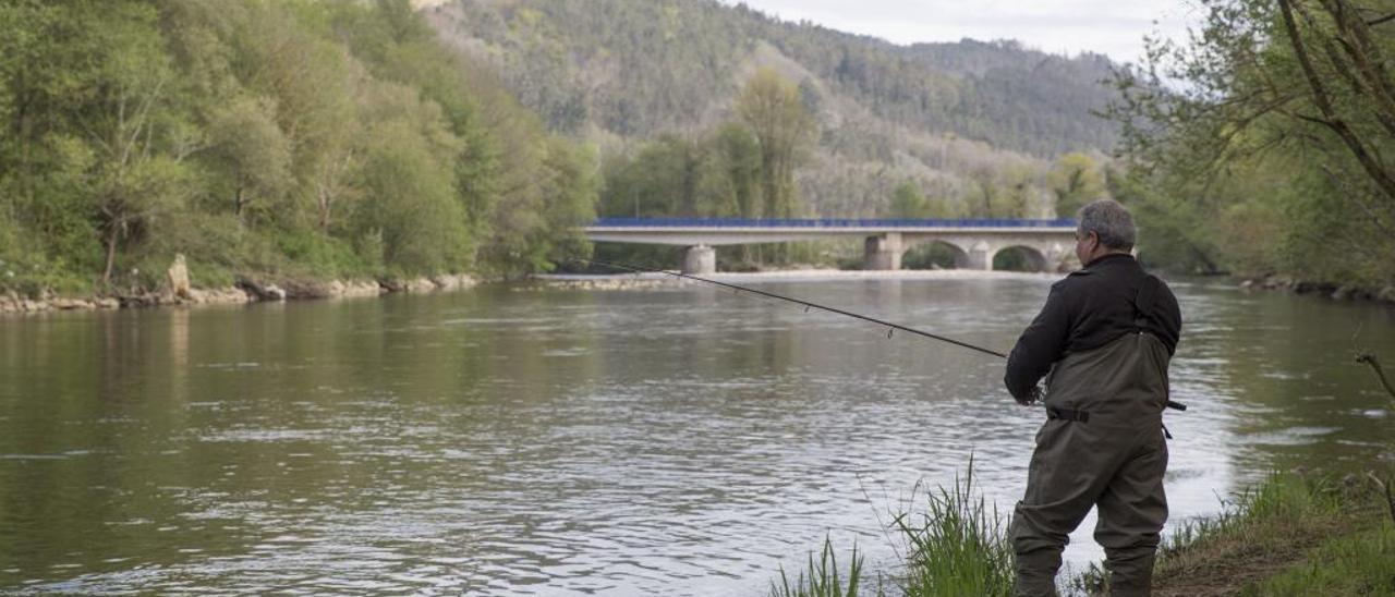 Pesca de salmón en un río asturiano.