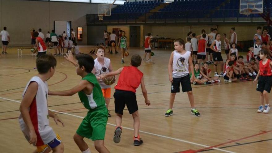 Arranca el VIII Campus del Club Baloncesto Ilicitano