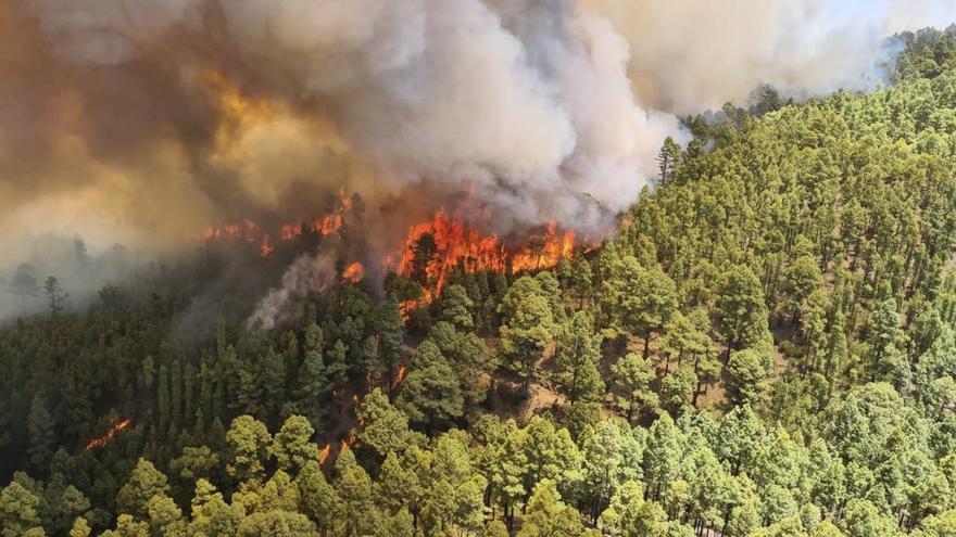 The Cabildo prohibits access to the mountains of Tenerife during the weekend