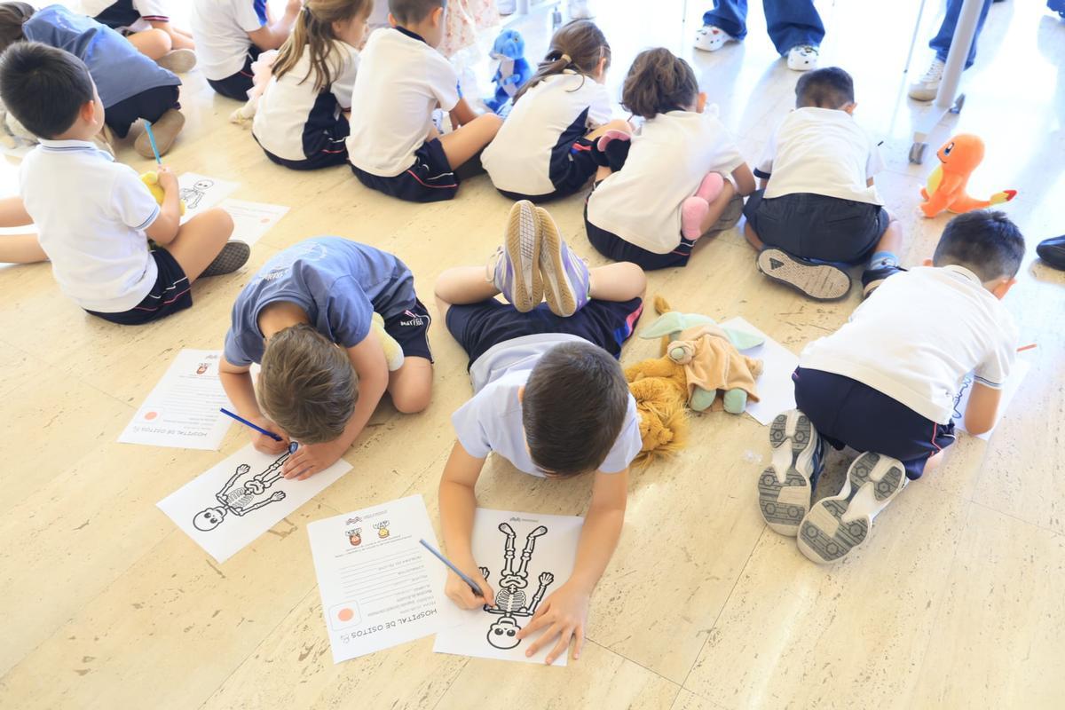 Estudiantes de Medicina de Alicante y Elche "pasan consulta" con los niños en el "I Hospital de Ositos"