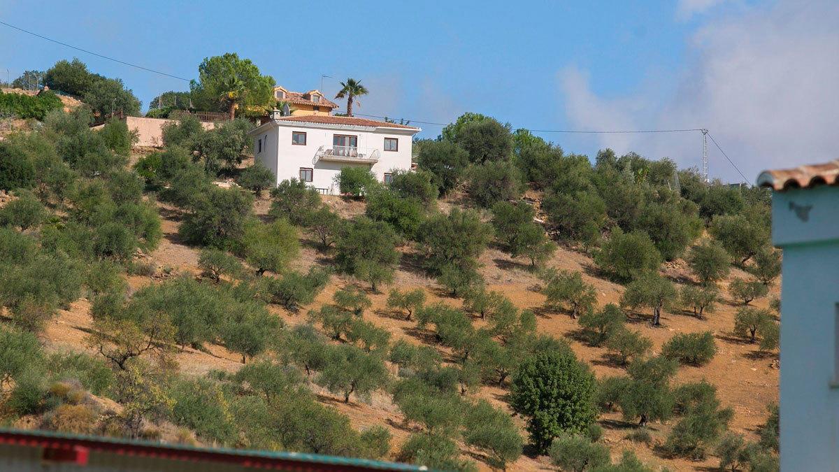 Vivienda en la que fue hallado el cuerpo de la víctima.