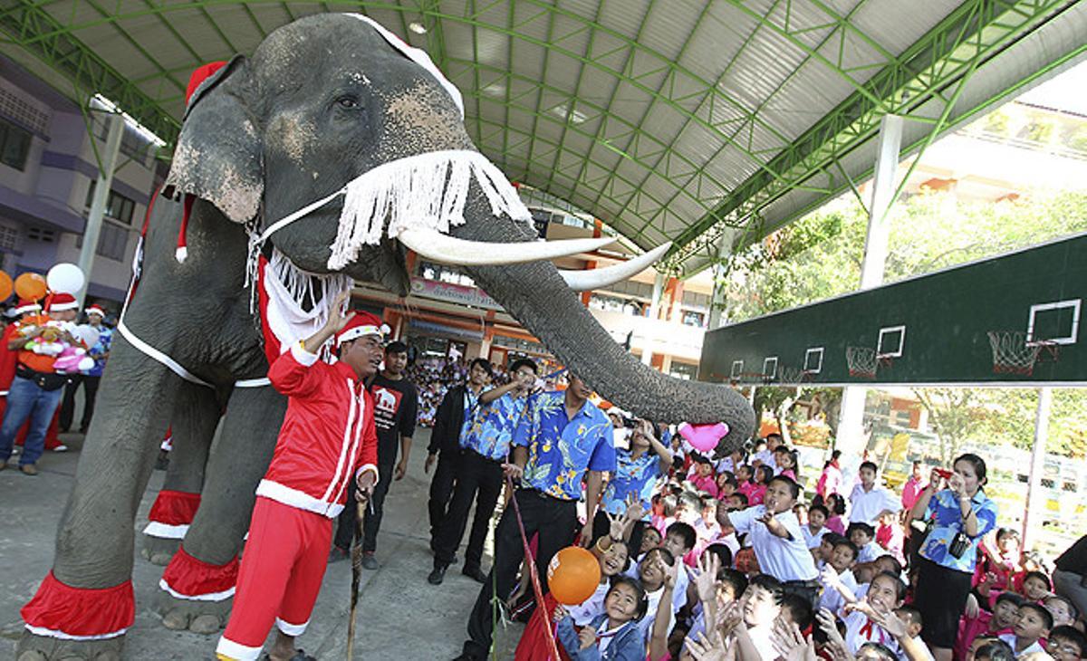 Un elefant tailandès vestit de Santa Claus i el seu entrenador reparteixen regals entre els nens d’un col·legi d’Ayutthaya (Tailàndia).