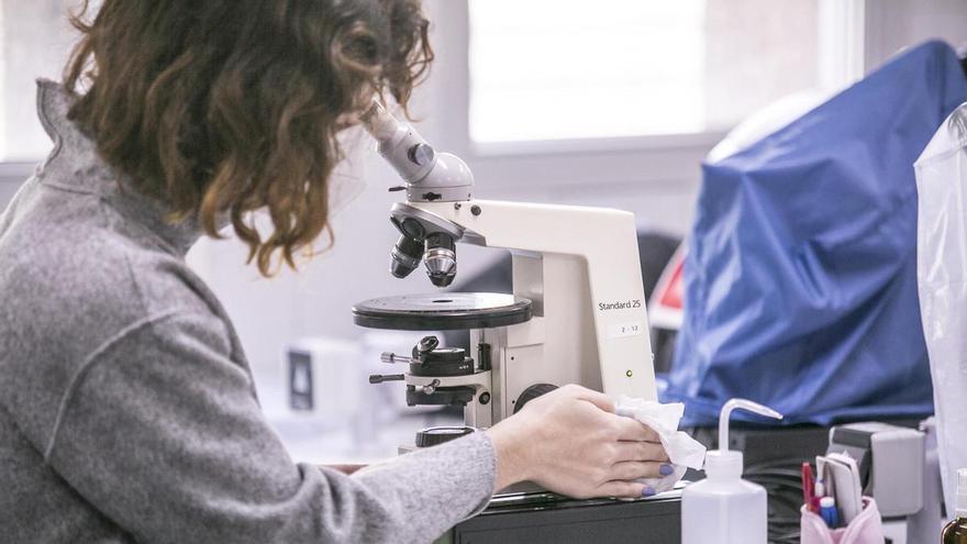 "Preocupación" por la caída de la Universidad de Oviedo en el Ranking de Shanghai y el relevo de investigadores que se jubilan: "El talento se escapa de la región"