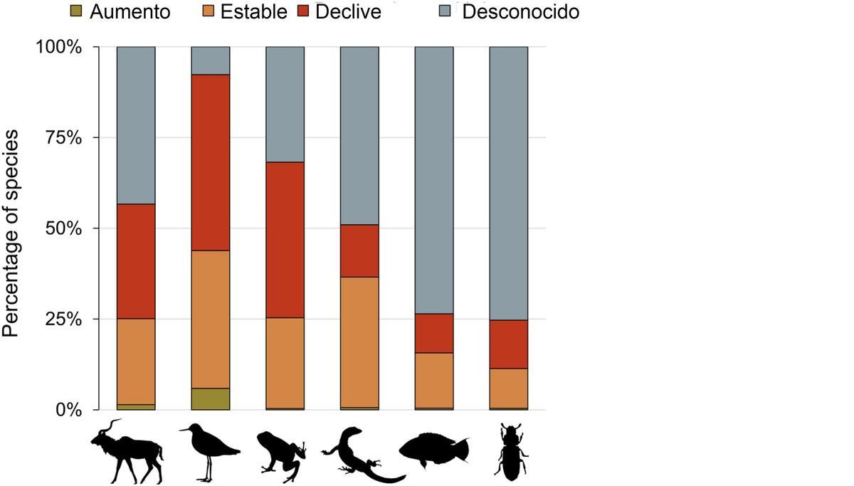 Situación actual de la fauna mundial