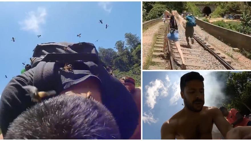 Vídeo: La angustia de un grupo de turistas atacados por un enjambre de abejas gigantes