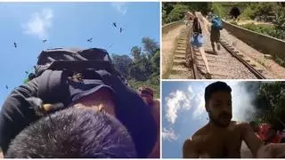 Vídeo: La angustia de un grupo de turistas atacados por un enjambre de abejas gigantes