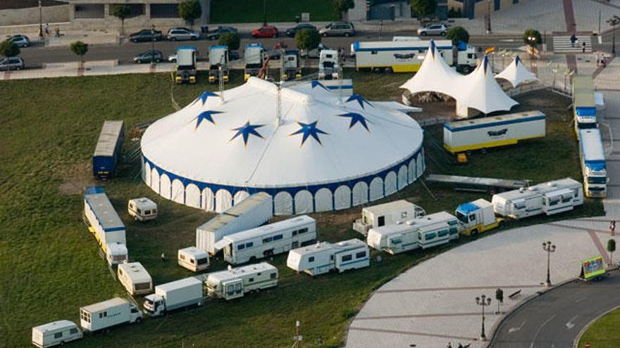 Oviedo prohíbe los circos con animales