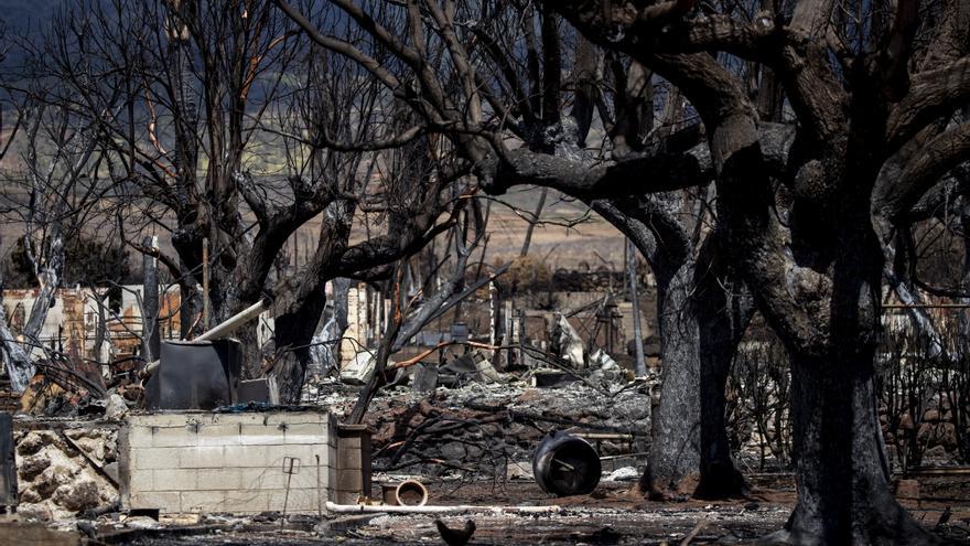 Las autoridades elevan a 106 el número de fallecidos en los incendios de Maui