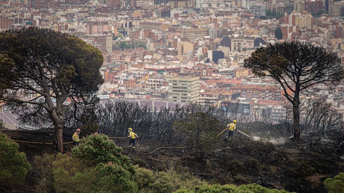 Barcelona 26/04/2021 Barcelona. Incendio forestal en Sant Pere Màrtir, en Collserola. AUTOR: MANU MITRU