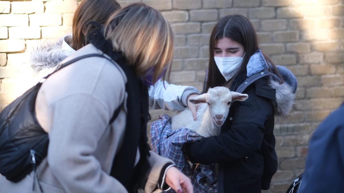 Vilatenim ha celebrat la benedicció dels animals