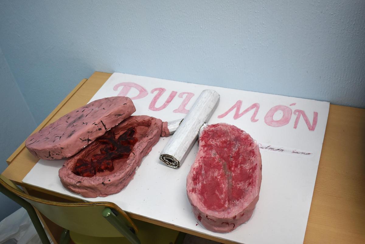 Fotogalería | Ciencia y naturaleza llenan el 'Licen' de Cáceres en su Semana Cultural