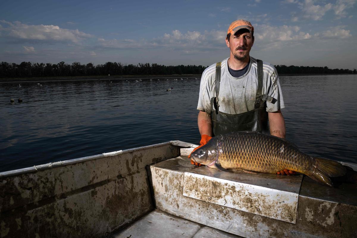 Jeremy Fuchs, el único pescador profesional del río Rin