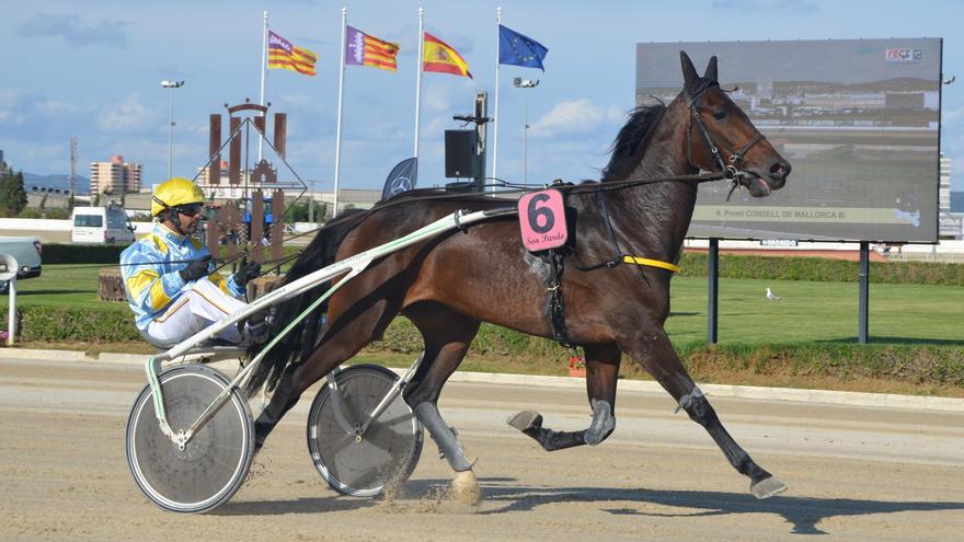 La matinal de Son Pardo abre la temporada de carreras Premium