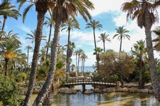 Las 7 rutas urbanas, guiadas y gratuitas que puedes realizar en Alicante