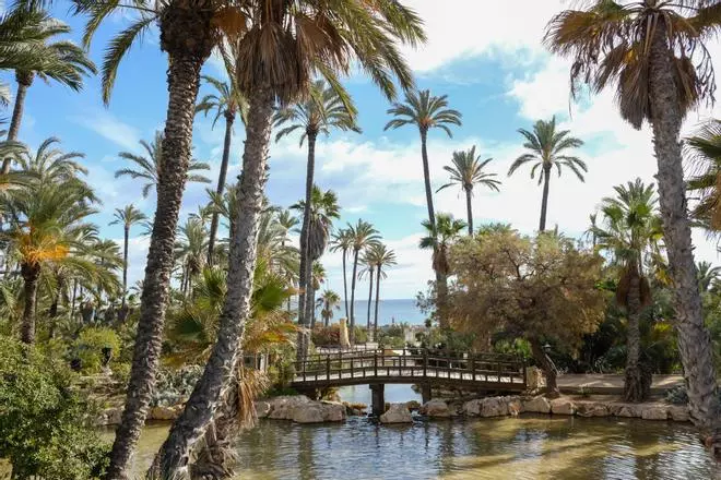 Las 7 rutas urbanas, guiadas y gratuitas que puedes realizar en Alicante