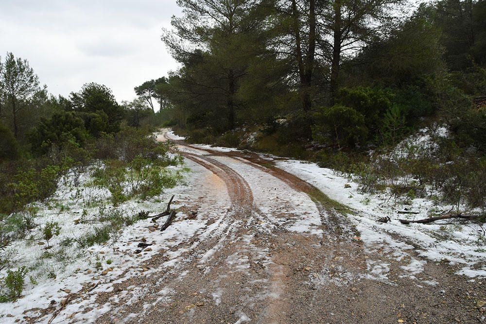 Nieve en Sant Miquel (Ibiza)