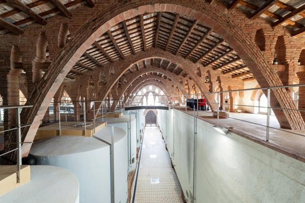 Interior de la bodega de Nulles-Adernats.