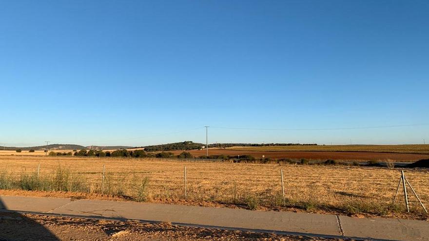 Campos de Zamora