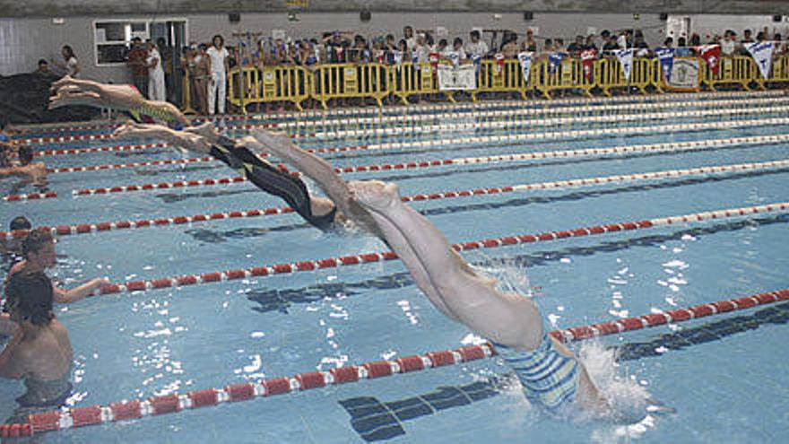 Una competición deportiva en la piscina cubierta de Zamora.