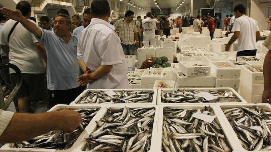 Mercado de Pescados y Mariscos de Mercamálaga.