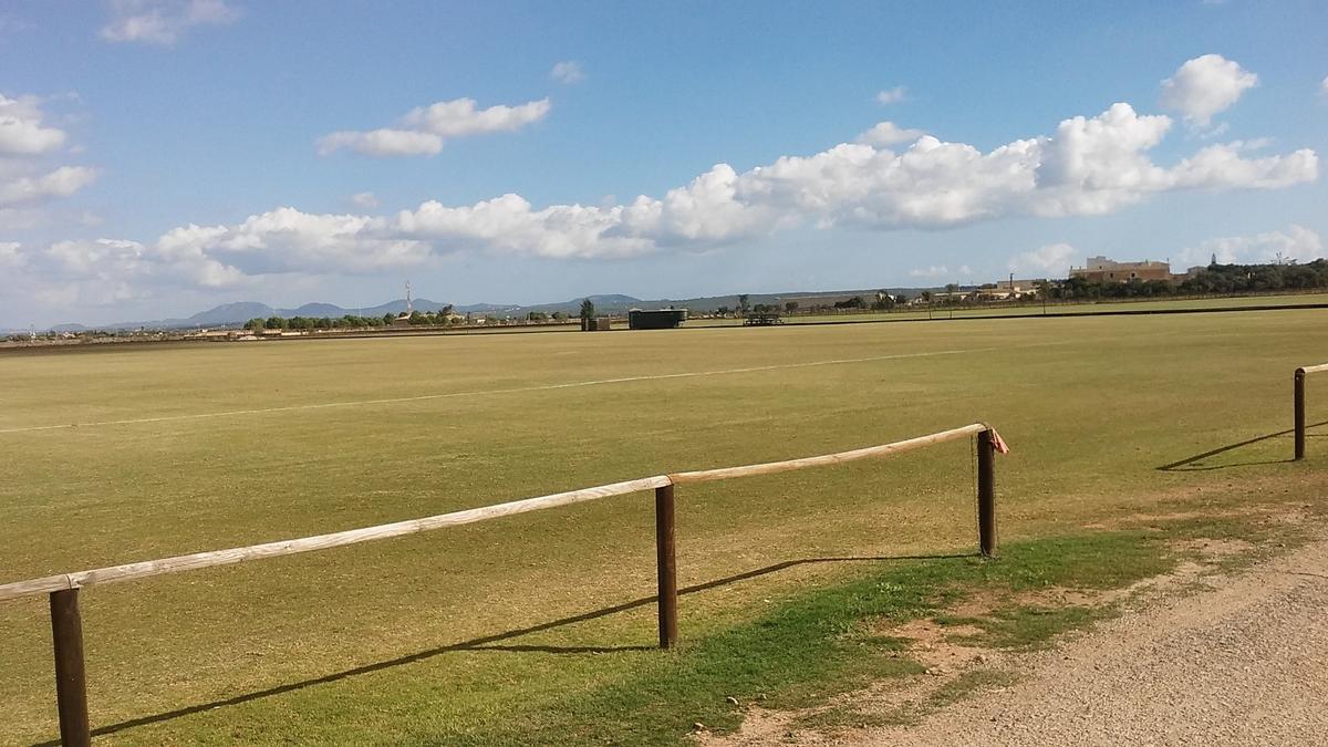 Una imagen del campo de polo de sa Barralina de Campos.