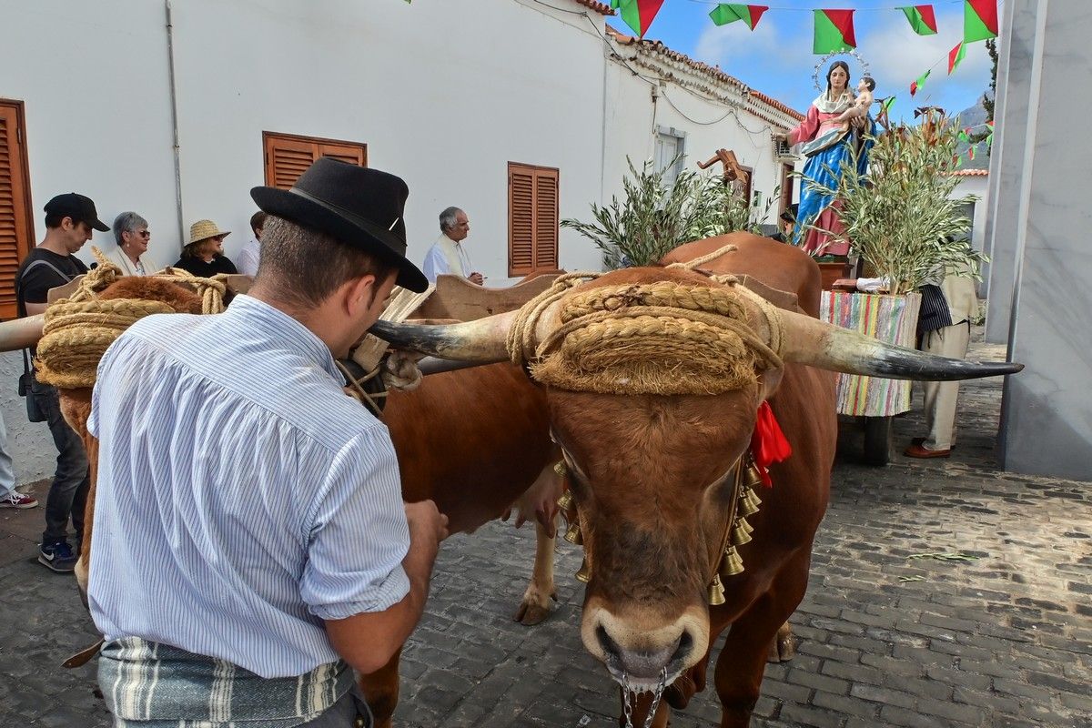 Romería Labradores 2022