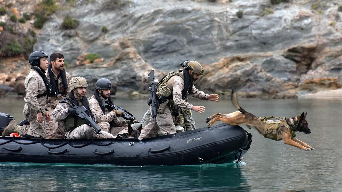 Una imagen de archivo del ejercicio Canex, organizado por el Tercio del Levante de Infantería de Marina, con base en Cartagena