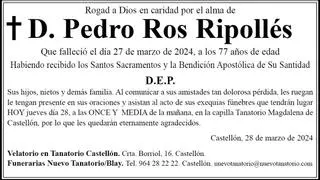 D. Pedro Ros Ripollés