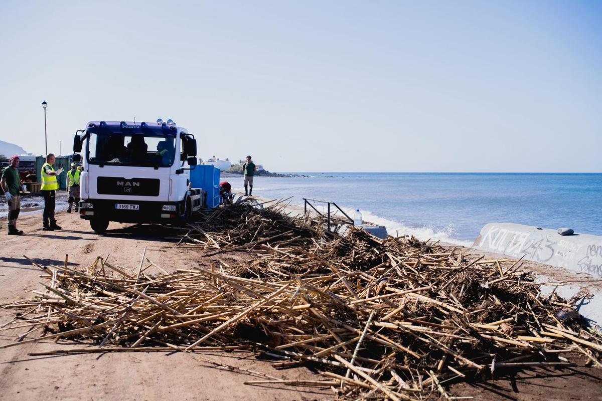 Una cuadrilla limpia una zona de costa de Valle Gran Rey.