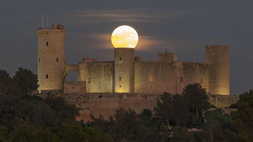 La Nasa se rinde al castillo de Bellver