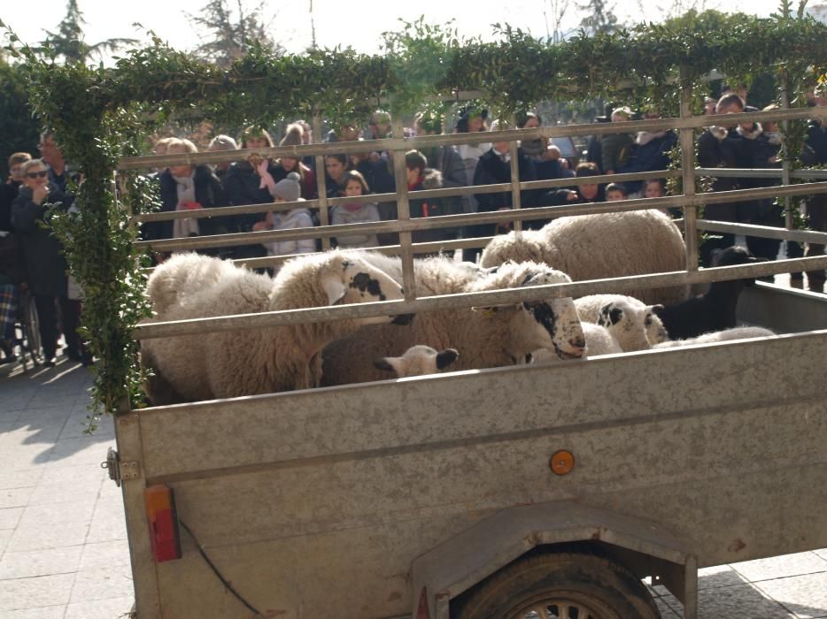 Festa de Sant Antoni a Castellterçol