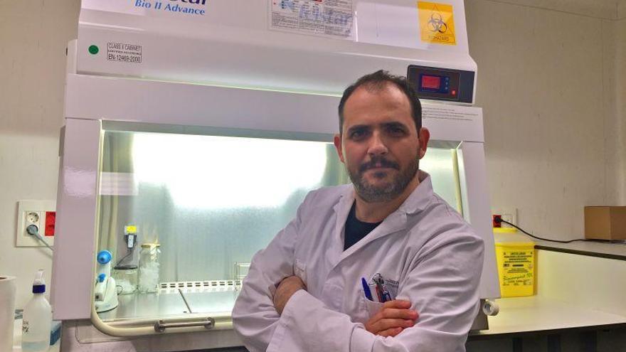 Un investigador aragonés demuestra que el magnesio puede alargar la vida