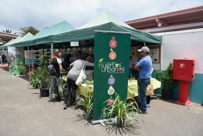 Feria Ecológica de Gran Canaria