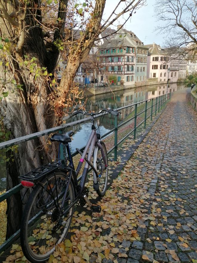 Estrasburgo